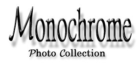 Monochrome photo collection